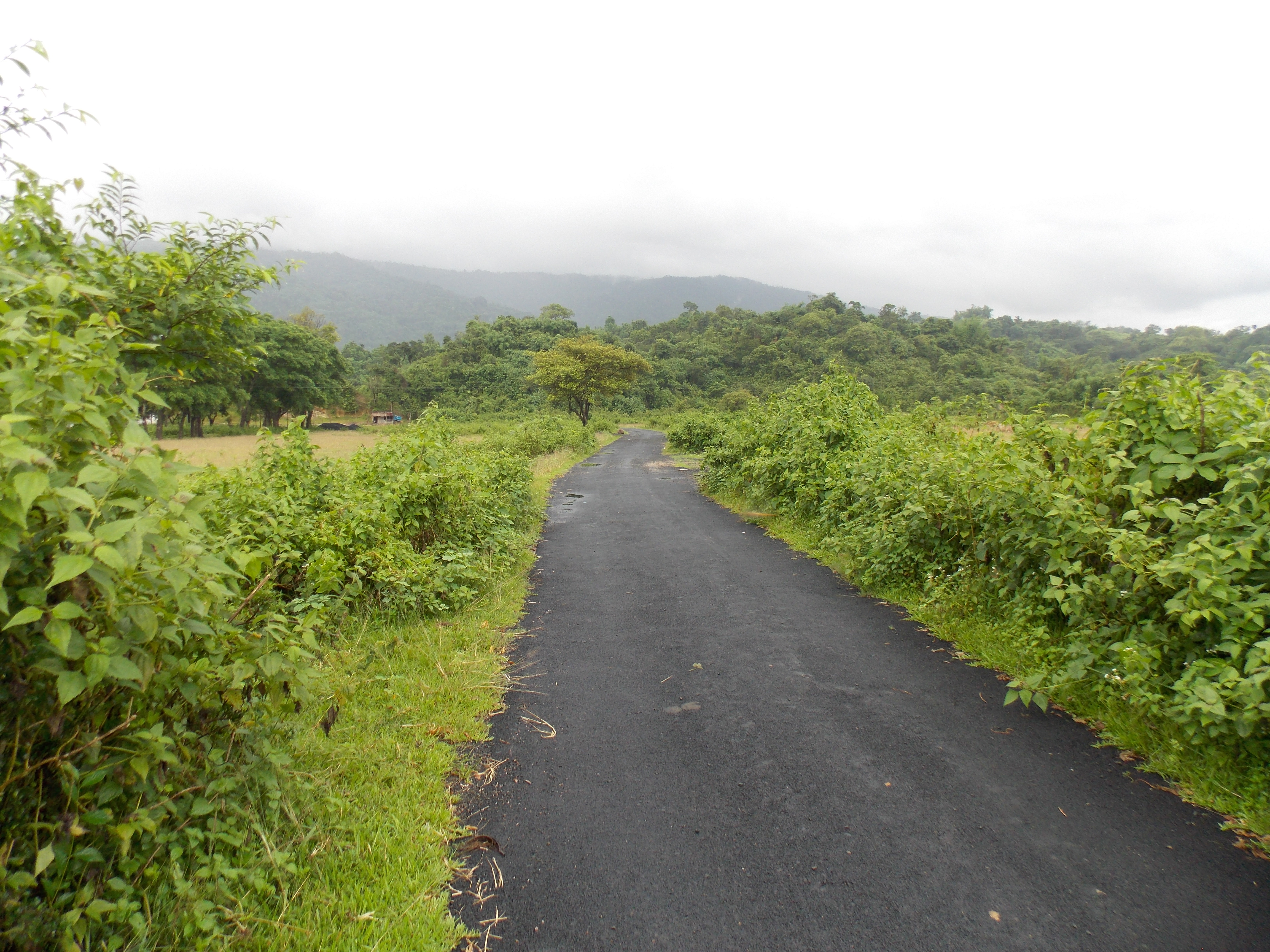 Improvement including MBT of link road from Panchering to Kotabari village